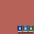 bmp