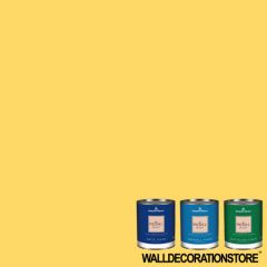 yellow rain coat 2020-40