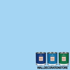 caribbean coast 2065-60